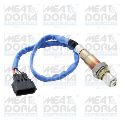 Oxygen Sensor